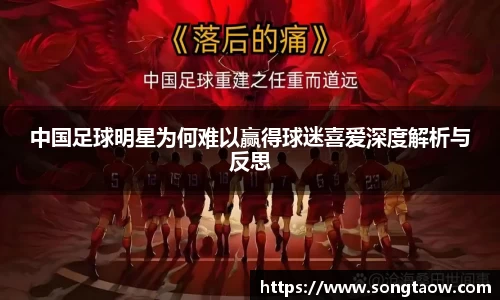 中国足球明星为何难以赢得球迷喜爱深度解析与反思
