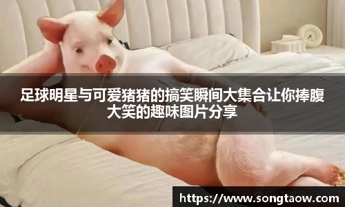 足球明星与可爱猪猪的搞笑瞬间大集合让你捧腹大笑的趣味图片分享