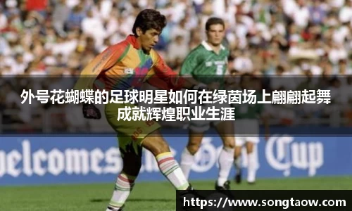 外号花蝴蝶的足球明星如何在绿茵场上翩翩起舞成就辉煌职业生涯